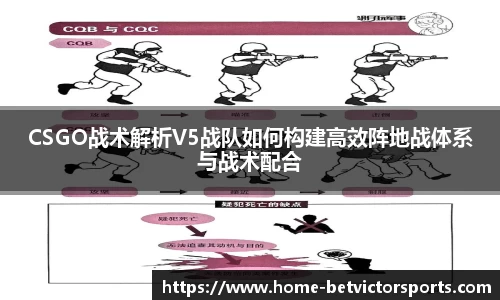 韦德体育